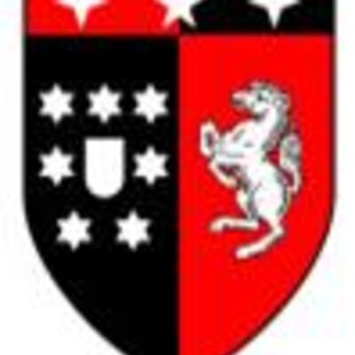 Bild vergr&ouml;&szlig;ern: Wappen PzBat 203