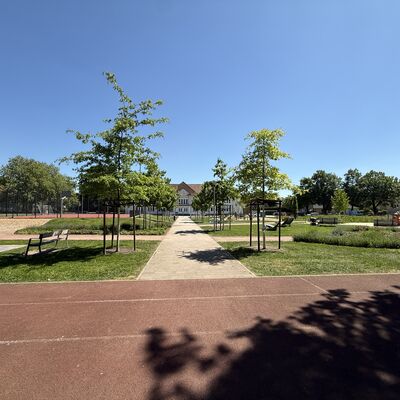 Bild vergr&ouml;&szlig;ern: Laufbahn Bürgerpark